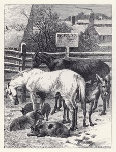 Animals in the Pound by Harrison William Weir