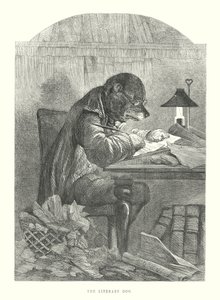 Funny Dogs: The Literary Dog by Harrison William Weir