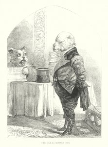 Funny Dogs: The Old-fashioned Dog
