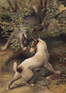 Two dogs trying to reach a pool of water to drink by Harrison William Weir