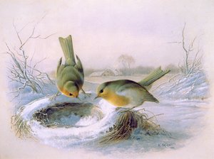 Last Years Nest by Harry Bright