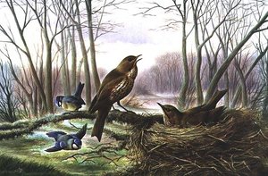 The Herald of Spring