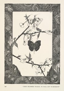 The Butterfly. They Bloomed Today, to Fall Off Tomorrow by Harry Clarke