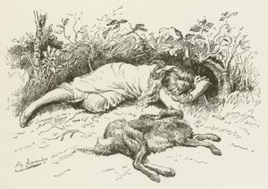 Illustration for Sylvie and Bruno by Lewis Carroll by Harry Furniss