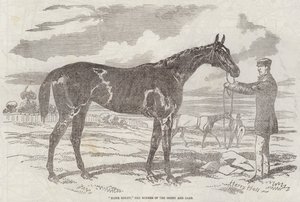 Blink Bonny, the Winner of the Derby and Oaks by Harry Hall