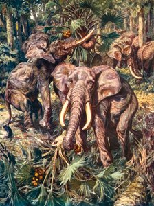 Elephants Destroying a Palm Forest