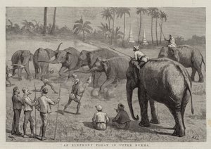 An Elephant Pooay in Upper Burma by Harry Hamilton Johnston