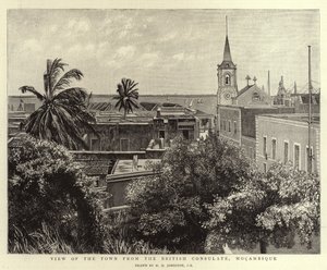View of the Town from the British Consulate, Mozambique by Harry Hamilton Johnston