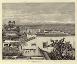 View of the Town of Mocambique from the British Consulate by Harry Hamilton Johnston