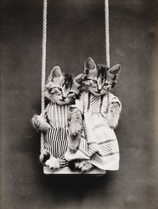 Kitties Series: On a Swing, c.1914 by Harry Whittier Frees