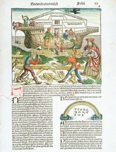 The Construction of Noah
