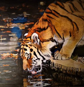 Tiger by HaskellArt