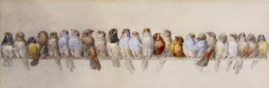 A Perch of Birds, c.1880 by Hector Giacomelli
