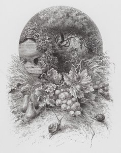 The Insect: Snails by Hector Giacomelli