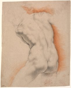 Male Model Bent to the Left, Seen from the Back by Heinrich Dittmers