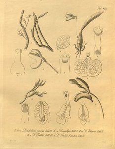 This file comes from the Biodiversity Heritage Library, and is available online at biodiversitylibrary.org/page/698365