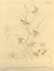 Biodiversity Heritage Library Notice