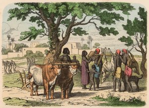 Ancient Egypt: farming and hunting