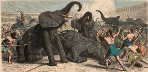 Ancient Rome: Elephants are slain in the amphitheatre, 1866