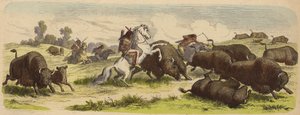 Native Americans on Horseback Hunting Buffalo (Coloured Engraving) by Heinrich Leutemann