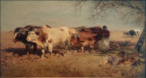 Oxen Team