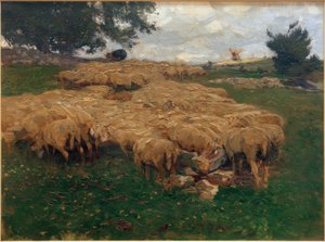 Flock of Sheep on the Rough Alb