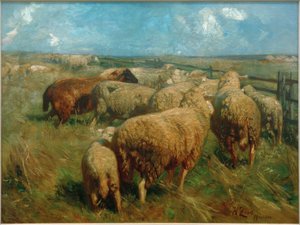 Sheep Herd in High Summer