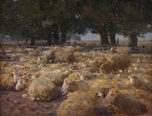 Sheep Park (Heath Moor)