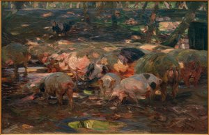 Herd of Pigs at the Old Rhine Bridge