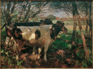 Two Cows at the Fence