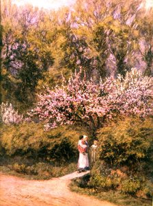 By the Cottage Gate - Blossom Time