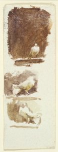 Doves by Helen Allingham