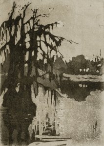 Cypress Trees by Helen Hyde