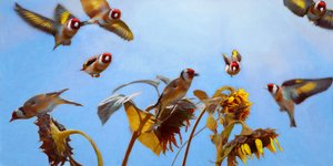 A Charm of Goldfinches by Helen White