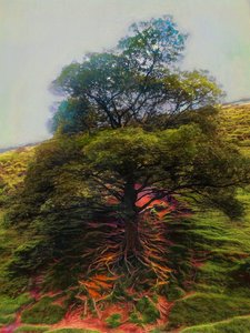 Connected Above As Below by Helen White