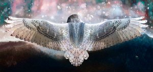 Dare to Fly by Helen White