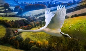 First Flight of Dawning Day