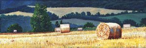 Haybales on hillside