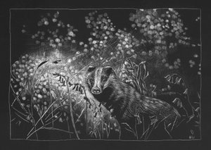 Spring Badger by Helen White