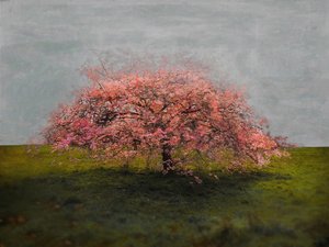 Stand Alone Beauty, 2019 by Helen White