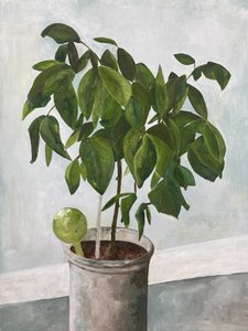 Still Life Potted Plant by Heléne Sikdal