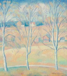 Spring Landscape Halsingland