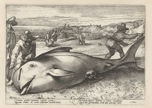 Two Men Measuring a Stranded Whale
