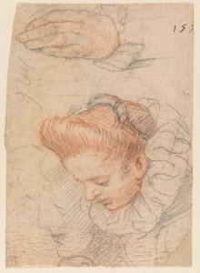 Sketch Sheet with Woman