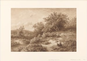 Landscape with Stream and Bushes by Hendrik Dirk Kruseman van Elten