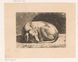 Sleeping Dog