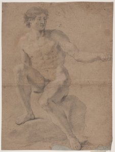 Male Model Study