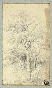 Tree by Hendrik Pieter Koekkoek