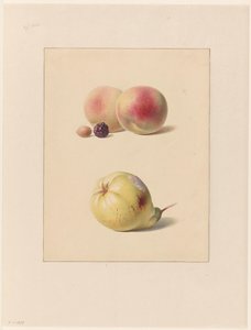 Peach, Blackberry, and Hazelnut and a Pear