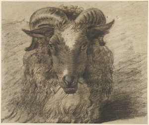 Head of a Ram